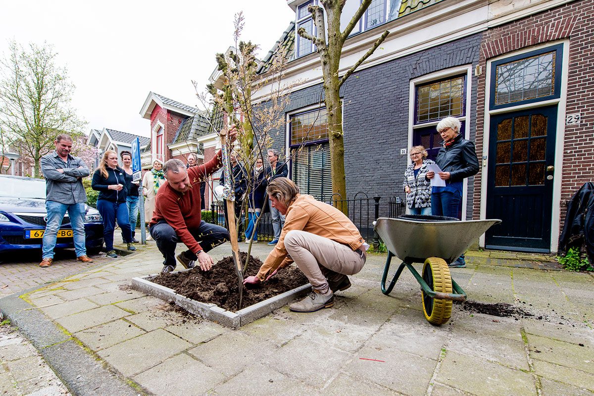 maredijkbuurt-groenestraten-header